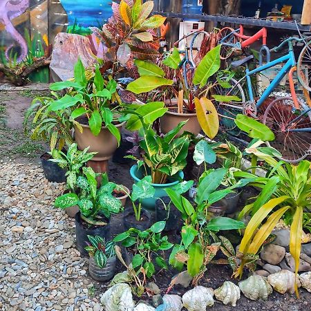 Castaway Native Huts Appartement San Vicente  Buitenkant foto