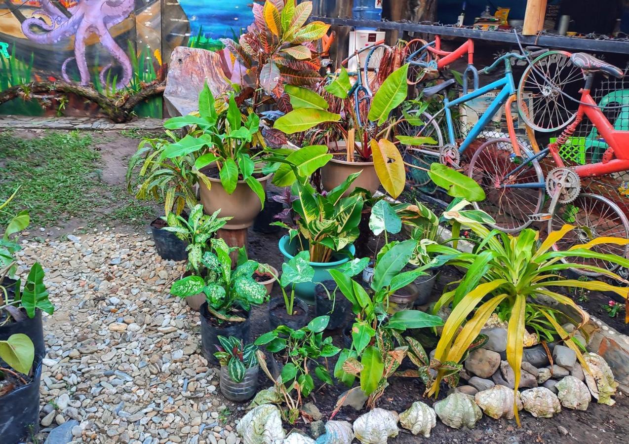 Castaway Native Huts Appartement San Vicente  Buitenkant foto