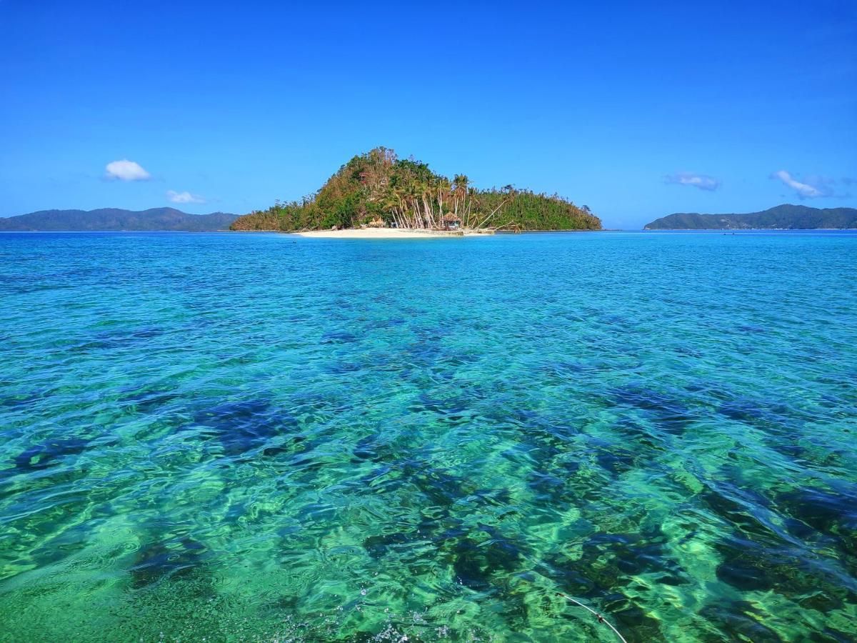 Castaway Native Huts Appartement San Vicente  Buitenkant foto